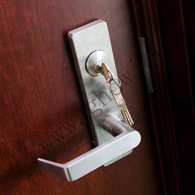 Transfer Printing Of Steel Door With Viewer, Panels And Mortise Lock